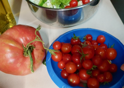Tomaten, Paprika und Zucchini/Kürbis im November