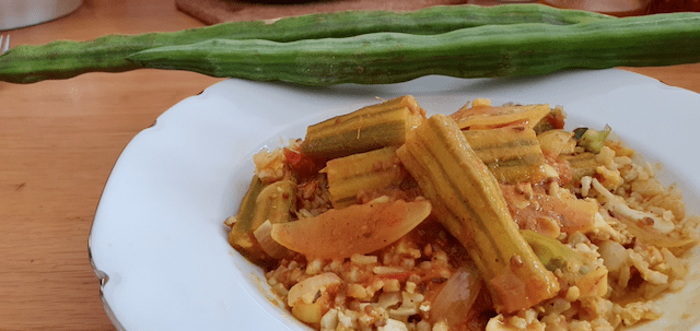 Südindisches Mulakkade/Moringa Curry mit Moringaschoten, ParadiesGarden Maroni