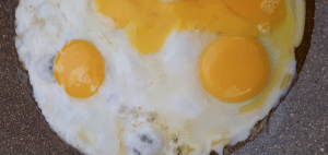 Freiland-Bio-Eier von glücklichen Hühnern