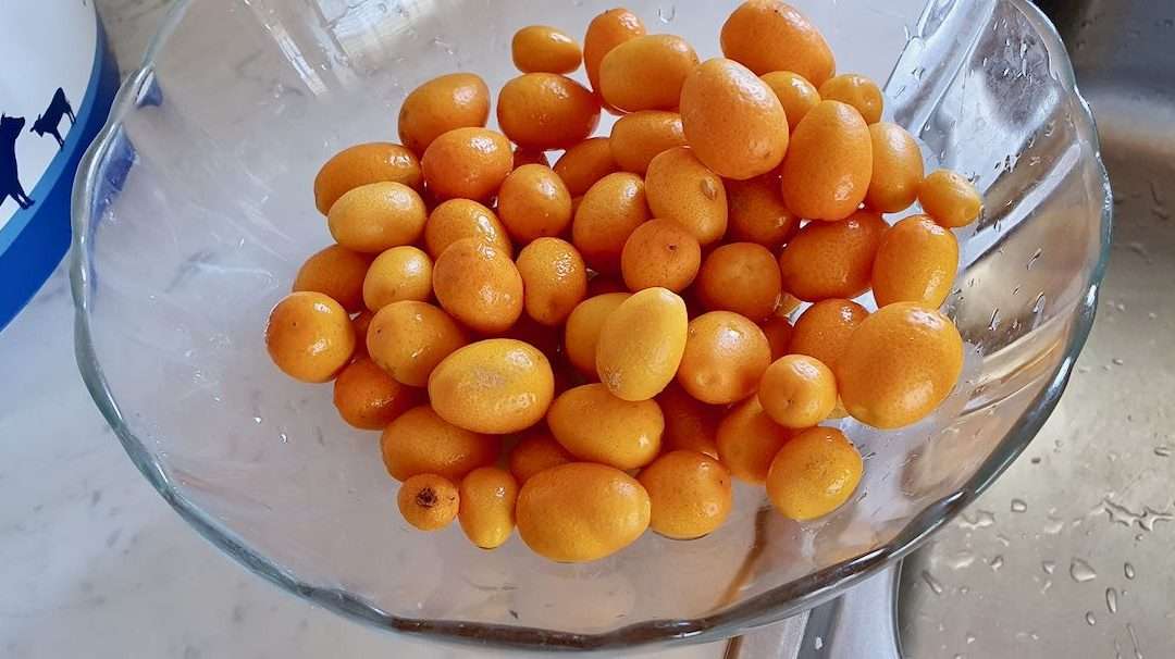 Kumquat  fruchtig und süss